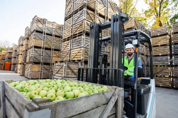 distribucion de alimentos