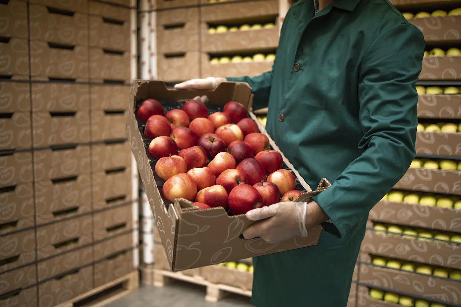 productos perecederos en una caja